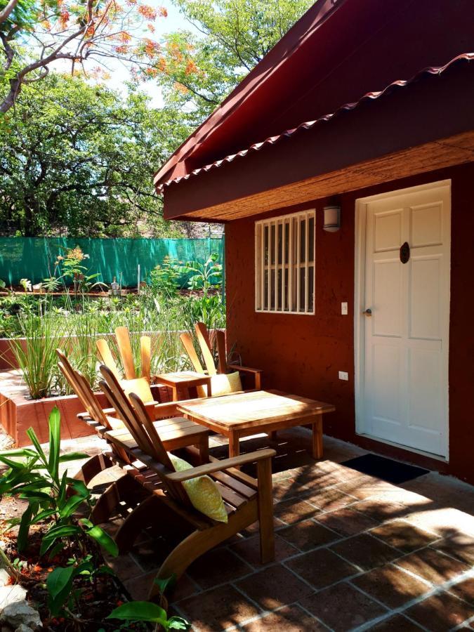 Casa Mapache Hotel Tamarindo Kültér fotó