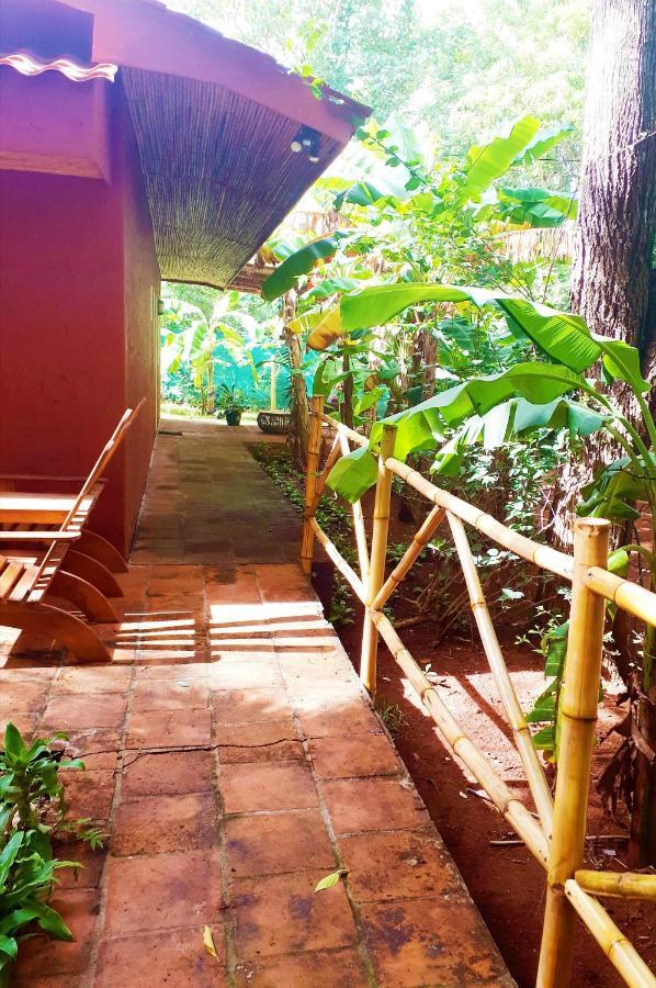 Casa Mapache Hotel Tamarindo Kültér fotó