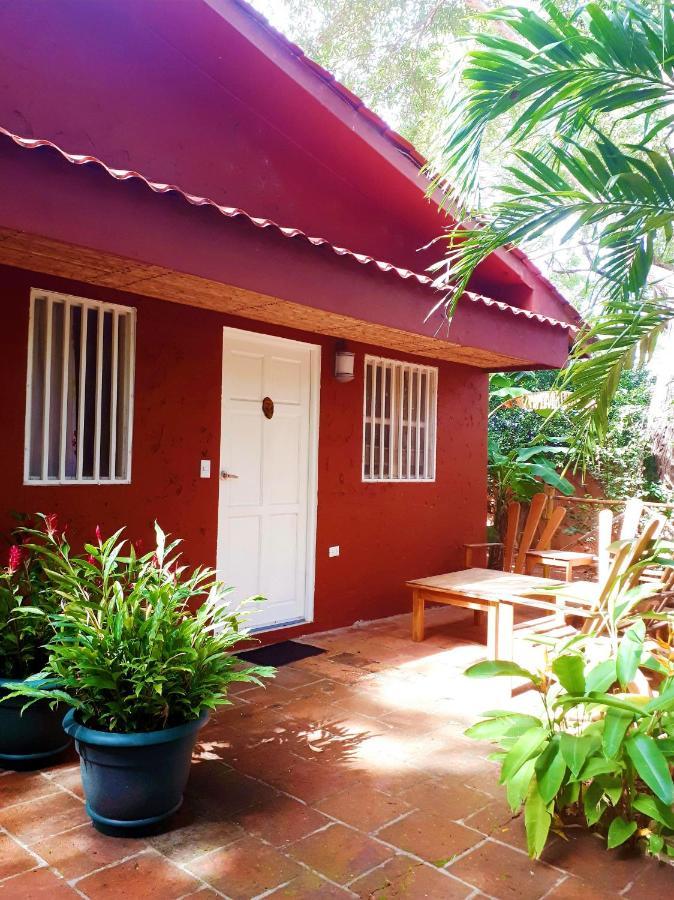 Casa Mapache Hotel Tamarindo Kültér fotó