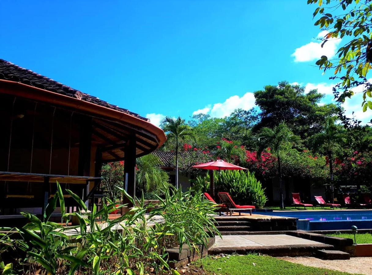 Casa Mapache Hotel Tamarindo Kültér fotó