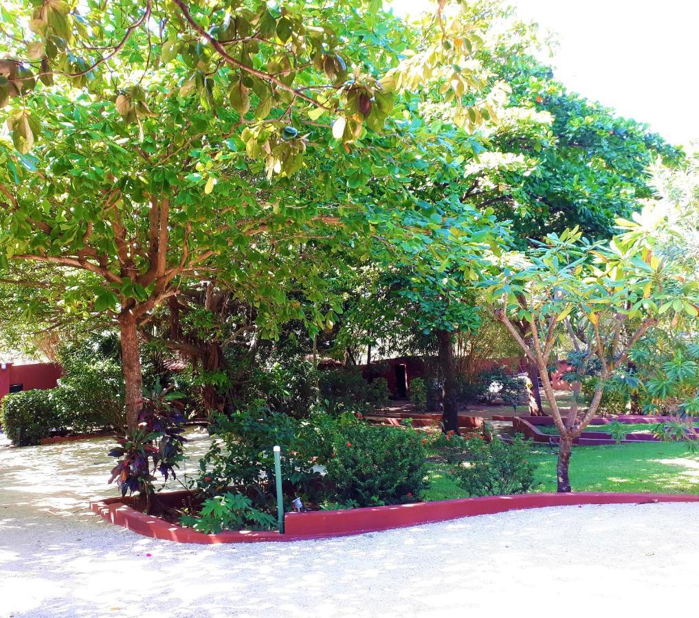 Casa Mapache Hotel Tamarindo Kültér fotó