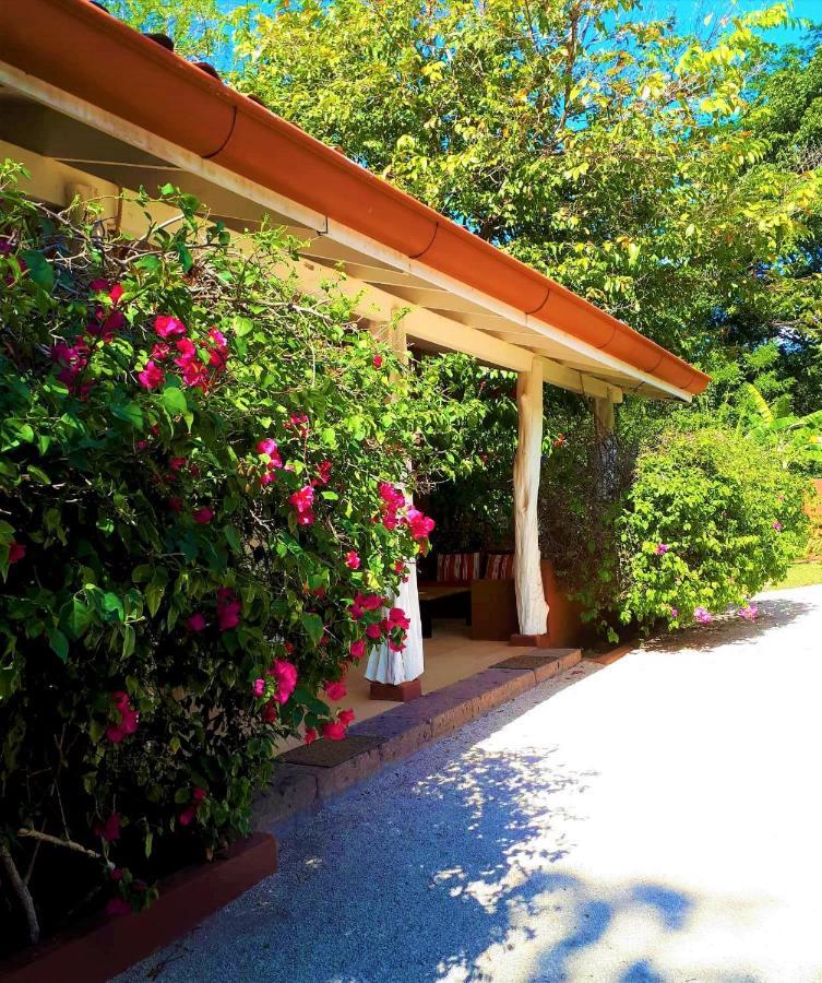 Casa Mapache Hotel Tamarindo Kültér fotó