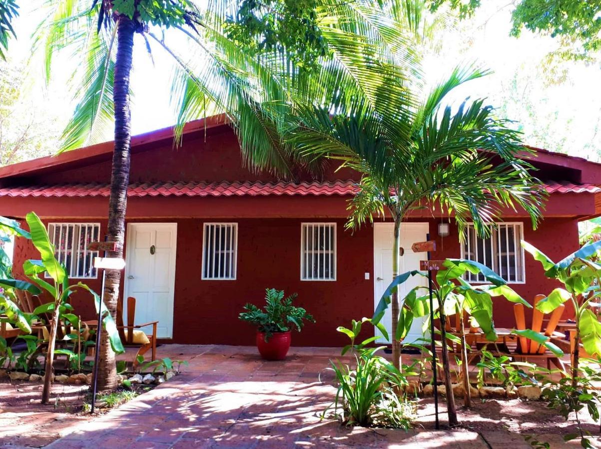 Casa Mapache Hotel Tamarindo Kültér fotó